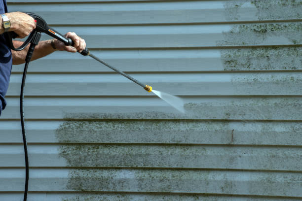 Best Residential Pressure Washing Services  in USA